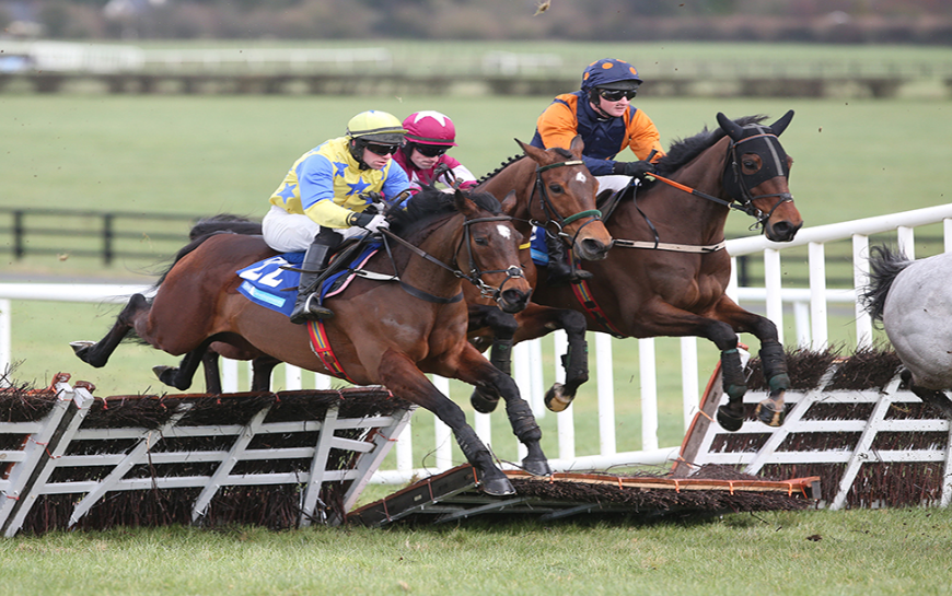 How to Choose a Winning Horse: Tips and Insights