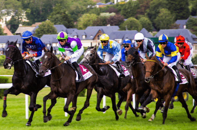 How to Read a Horse Racing Form: A Beginner’s Guide